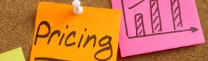 Pricing of Services Legal Nurse Life Care Planner